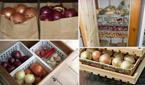 Какую температуру выдерживает лук. Помещение и способы хранения