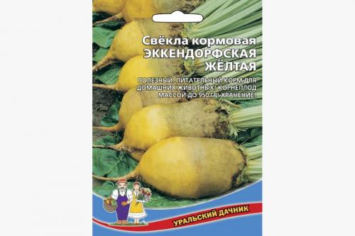 Свёкла кормовая. Выращивание кормовой свеклы для животных