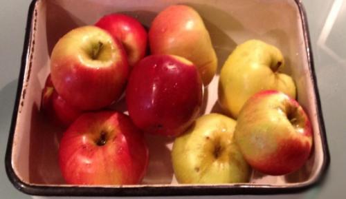 Как сделать из яблок повидло. Густое повидло из яблок на зиму в духовке