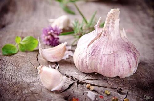 Чеснок на спирту. Настойка на чесноке - полезные свойства и рецепты приготовления на спирту, водке или воде 04 Чеснок на спирту. Настойка на чесноке - полезные свойства и рецепты приготовления на спирту, водке или воде 04