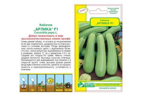 Как сохранить кабачки на зиму. Как хранить кабачки на зиму в квартире: домашние условия