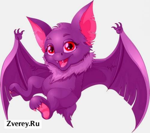 Где живут летучие мыши. Излюбленные места расселения 09 Где живут летучие мыши. Излюбленные места расселения 09