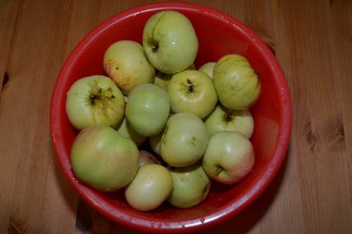 Как сделать из яблок пастилу дома. Пастила из яблок в домашних условиях – простой рецепт в электросушилке для фруктов