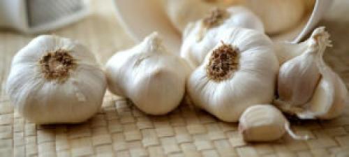 Как правильно есть чеснок. Как есть чеснок, чтобы не было запаха