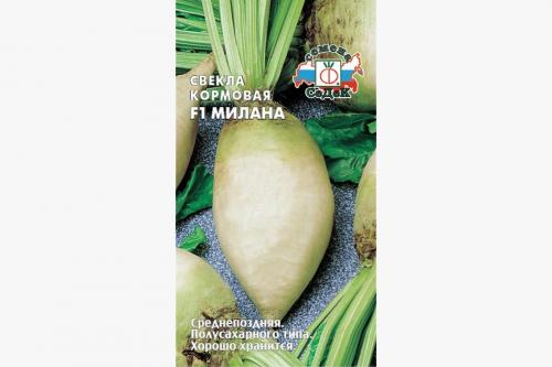 Свёкла кормовая. Выращивание кормовой свеклы для животных