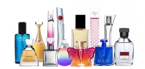 Как выглядят клопы бельевые. Разновидности клопов 06