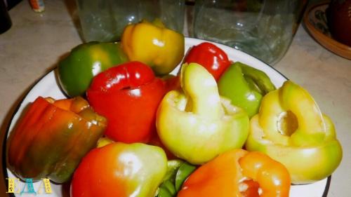 Квашеный перец. Квашеный болгарский перец - самый вкусный и простой рецепт