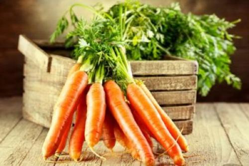 Уборка и хранение моркови на зиму. Хранение моркови на зиму в домашних условиях 10