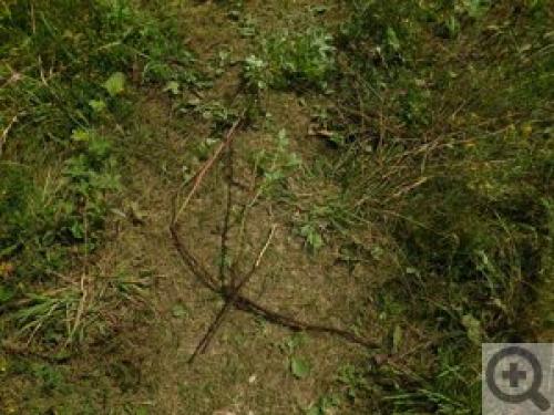 Сушка шиповника в электрической духовке. Как сушить шиповник в духовке электрической? 08 Сушка шиповника в электрической духовке. Как сушить шиповник в духовке электрической? 08