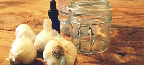 Чесночная водка. Секрет эффективности настойки из чеснока
