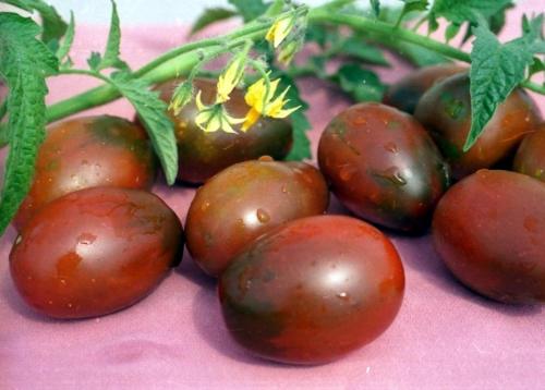 Как пасынковать помидоры де Барао. Сорта томатов Де Барао – характеристики, урожайность, фото и отзывы
