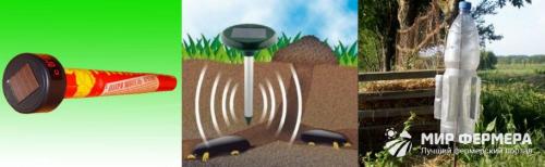Борьба с кротами. Как избавиться от кротов: самые эффективные способы