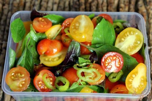 Зеленые помидоры квашеные в бочке. Квашеные зеленые помидоры в бочке 14