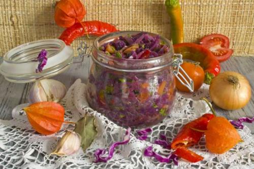 Солянка из красной капусты. Можно ли делать солянку из красной капусты. Солянка с краснокочанной капустой. Из квашеной капусты по-деревенски