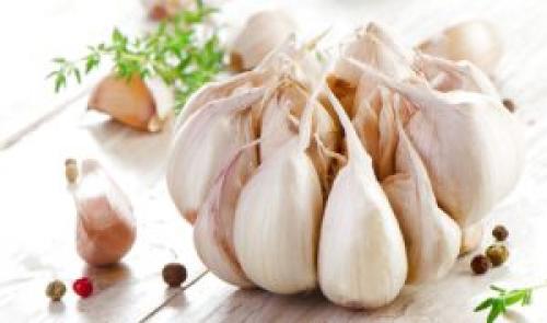 Почему после чеснока хочется спать. Чеснок спасает от бессонницы и другие свойства чеснока