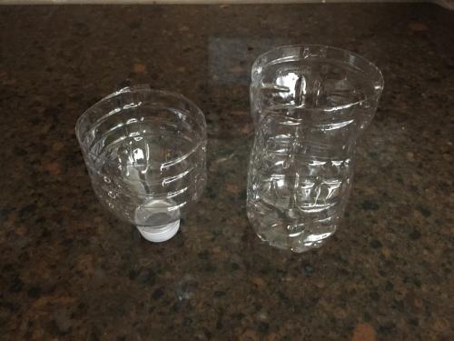 Ловушка для дрозофил своими руками. Ловушка для дрозофил