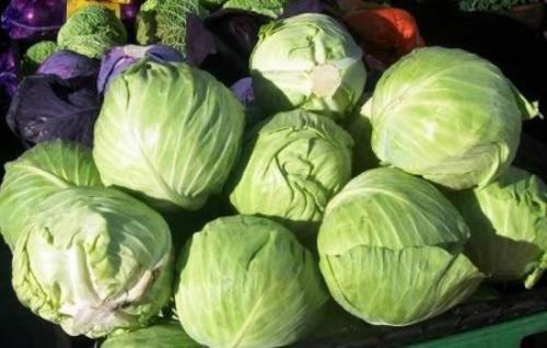 Как хранить в подвале капусту. Как хранить капусту 02 Как хранить в подвале капусту. Как хранить капусту 02