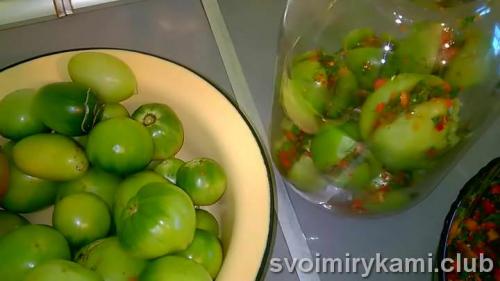 Квашеные зеленые помидоры с начинкой. Вкусные квашеные зеленые помидоры