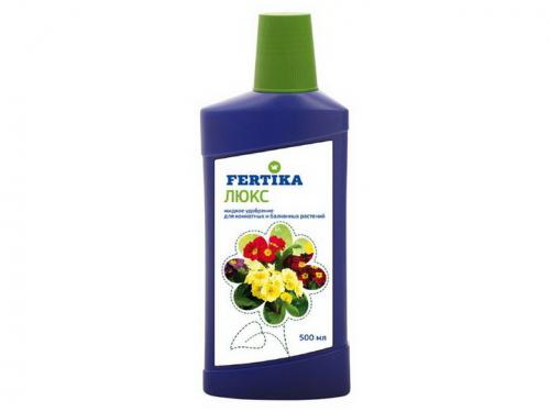 Чем подкормить бегонию после пересадки. Чем удобрять в домашних условиях?