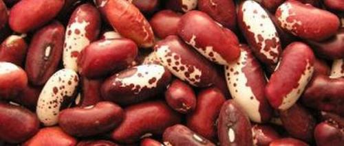 Как хранить чеснок дома в банке. Как сохранить чеснок до весны: будто только с грядки