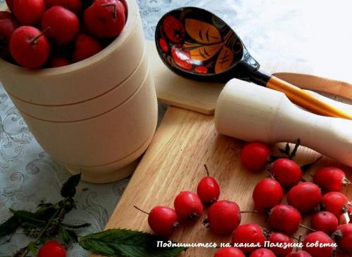 Боярышник польза. Боярышник: польза и вред для организма