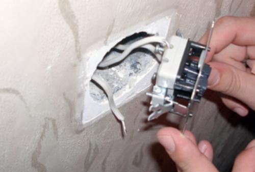 От чего появляются клопы в квартире. Меры профилактики