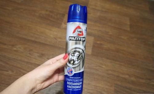 Тараканы, как избавиться. Самые эффективные средства от тараканов в квартире заводского изготовления