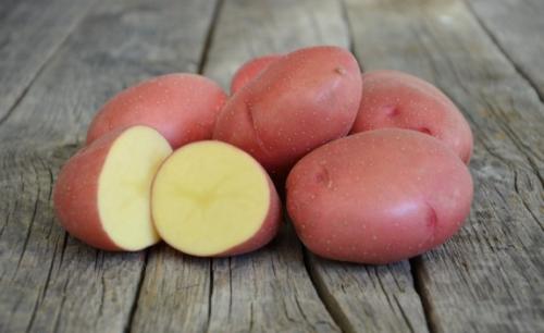 Сорта картофеля. Ранние сорта картофеля