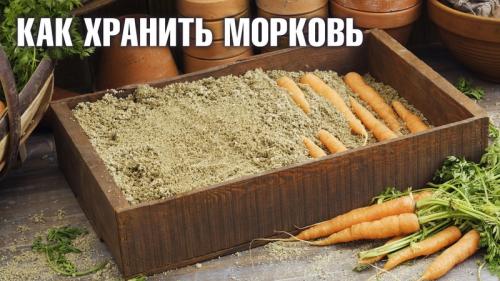 Как сохранить морковь в погребе зимой. В чем и как хранить морковь в погребе зимой: подборка лучших способов