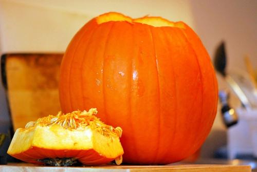 Тыква выращивание хранение. Как правильно заготовить семена тыквы для посадки?