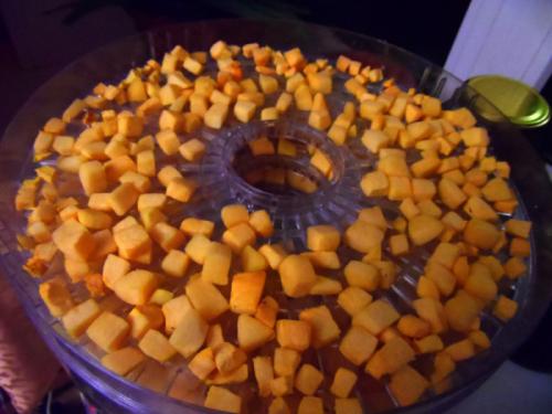 Как хранить вяленую тыкву. К ак сушить тыкву в электросушилке