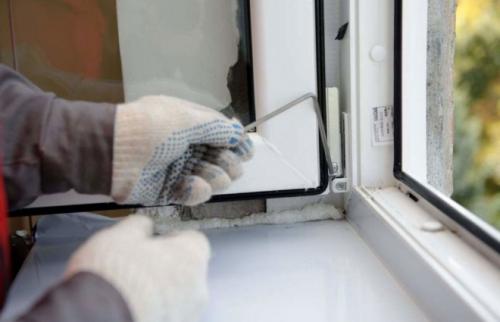 От чего появляются клопы в квартире. Меры профилактики