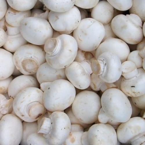 Как хранить морковь на зиму в погребе. Как хранить морковь в подвале дома или погребе?