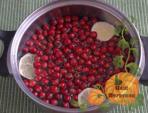 Варенье из боярышника. Как сварить варенье из боярышника