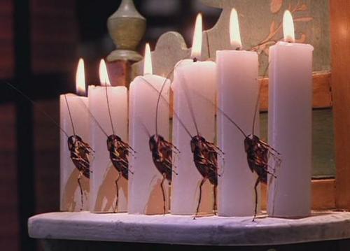 Чего боятся тараканы народные средства. Отпугните тараканов от квартиры простыми способами