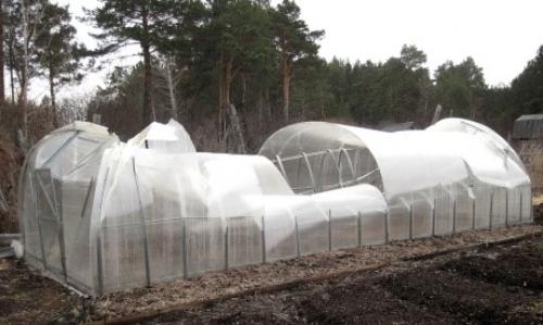 Деревянная теплица своими руками под поликарбонат. Разновидности конструкций и чертежи 08