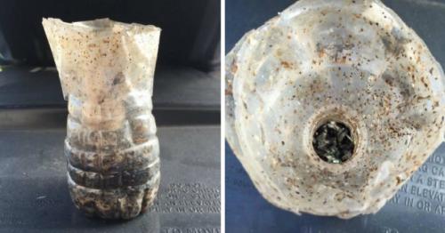 Ловушка для дрозофил своими руками. Ловушка для дрозофил