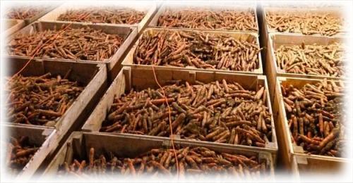 Как хранить морковь в полиэтиленовых пакетах. Хранение моркови на зиму в домашних условиях. Можно ли хранить морковь в полиэтиленовых пакетах в погребе 01 Как хранить морковь в полиэтиленовых пакетах. Хранение моркови на зиму в домашних условиях. Можно ли хранить морковь в полиэтиленовых пакетах в погребе 01