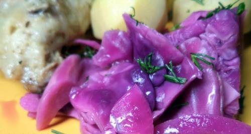 Квашеная красная капуста с яблоками. Рецепты заготовок краснокочанной капусты на зиму