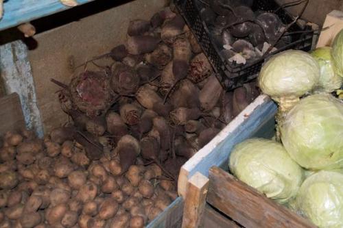 Как хранить морковь на зиму в погребе. Как хранить морковь в подвале дома или погребе? 07 Как хранить морковь на зиму в погребе. Как хранить морковь в подвале дома или погребе? 07