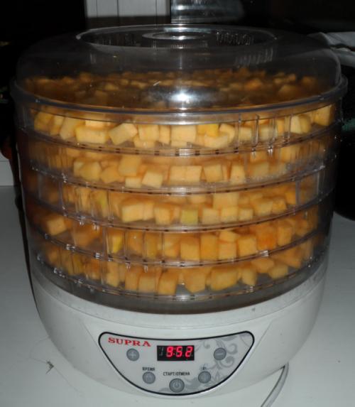 Как хранить вяленую тыкву. К ак сушить тыкву в электросушилке