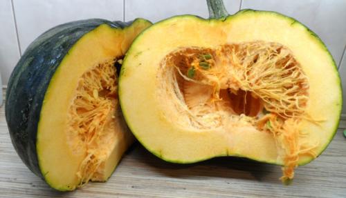 Как хранить вяленую тыкву. К ак сушить тыкву в электросушилке