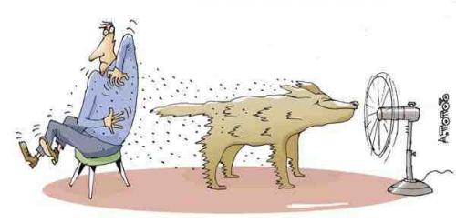 Сода от тараканов. Пищевая сода против блох, тараканов, клопов, моли