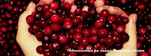 Боярышник польза. Боярышник: польза и вред для организма