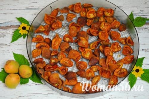 Сушка абрикос в микроволновке. Как сушить абрикосы на курагу в электросушилке. Много фото!