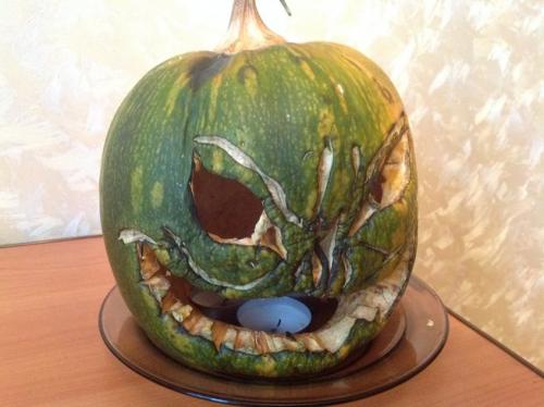 Сколько хранится вырезанная тыква. Как сохранить вырезанную на Хэллоуин тыкву