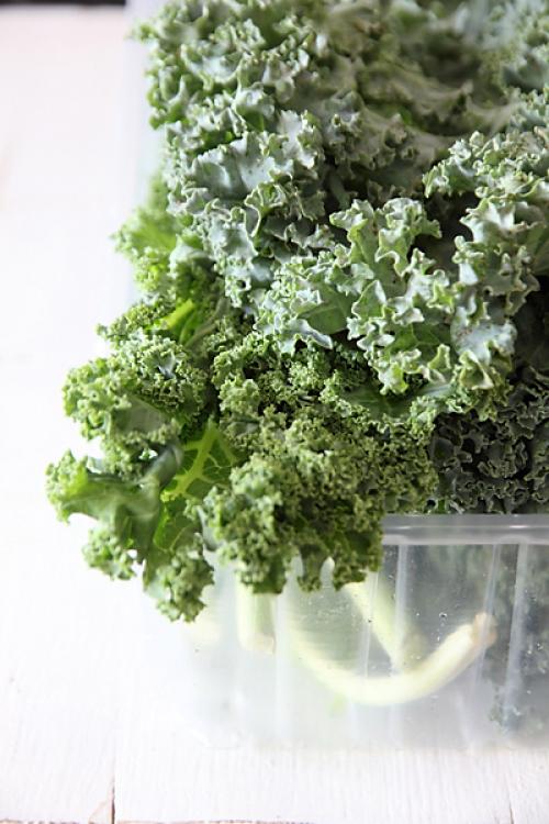 Можно ли замораживать капусту кале. 