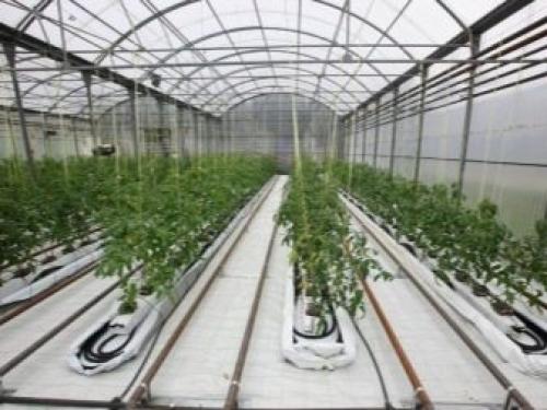 Как обогреть теплицу. Дешевое отопление для теплицы: простой способ обогрева 06