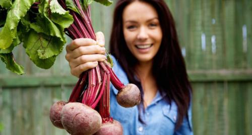 Польза свеклы красной. Чем полезна красная свёкла