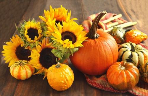 Как высушить тыкву для декора. Подготовка овоща 06